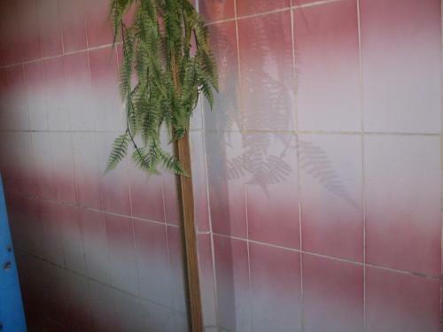 Apartamento ???????? ????????,?????? ??????????,2