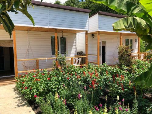 Hostal Guest House Big Fish