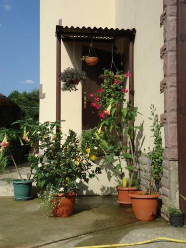 Hostal Villa Gardenia