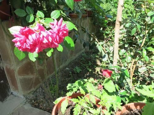 Hostal Dobry Kit Guest House