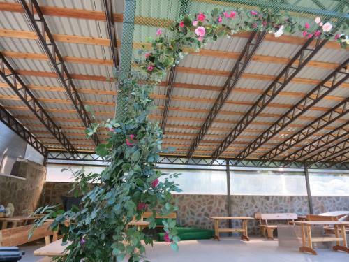 Hostal Dobry Kit Guest House