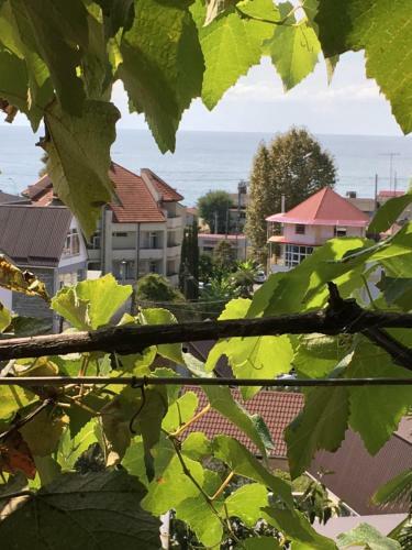 Hostal Prokhlada Guest House