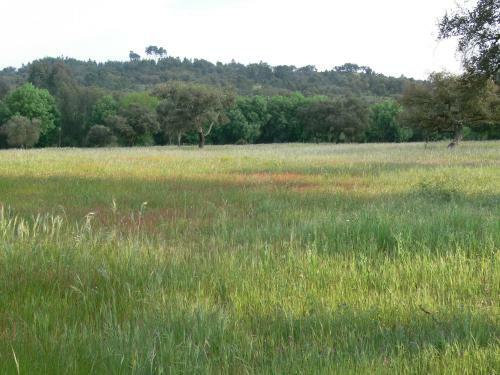 Monte Do Areeiro