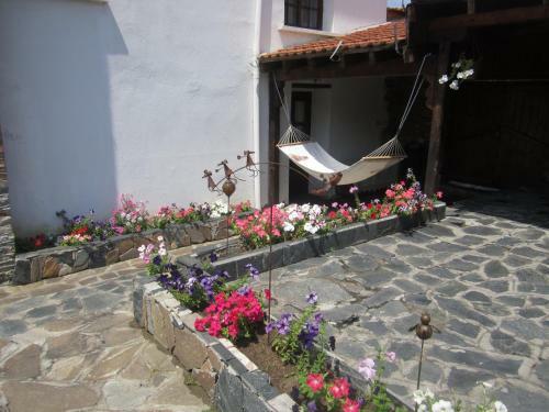 Hostal Guest House Popov