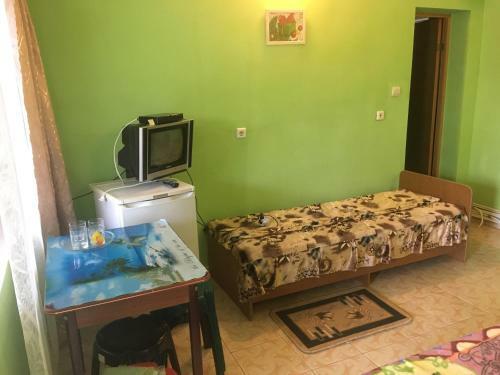 Hostal Guesthouse On Zelenaya 7