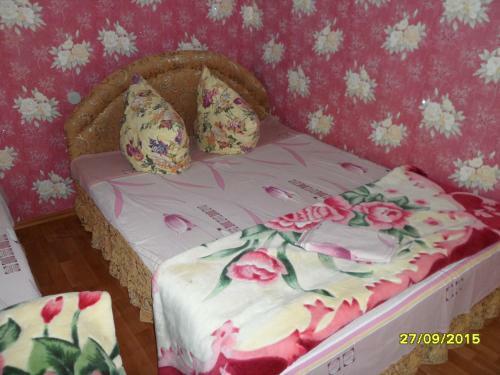 Hostal Guesthouse Pioner