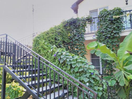 Hostal Guest House Provence