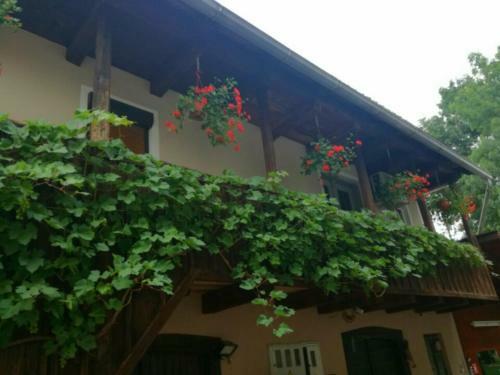 River Kolpa Apartment