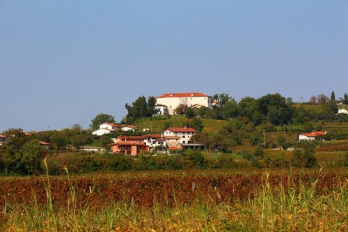 Zoi Apartments