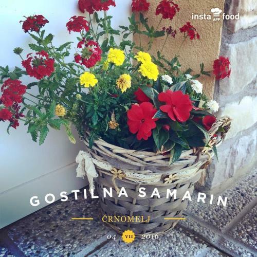 Hostal Gostilna Samarin