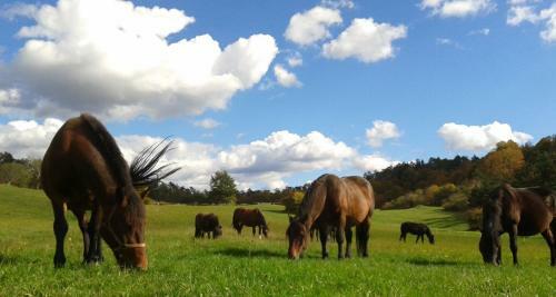 Agroturismo Tourist Farm Pri Andrejevih