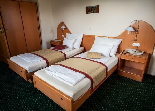 Hostal Guesthouse Tulipan