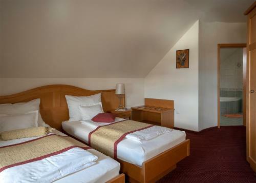 Hostal Guesthouse Tulipan