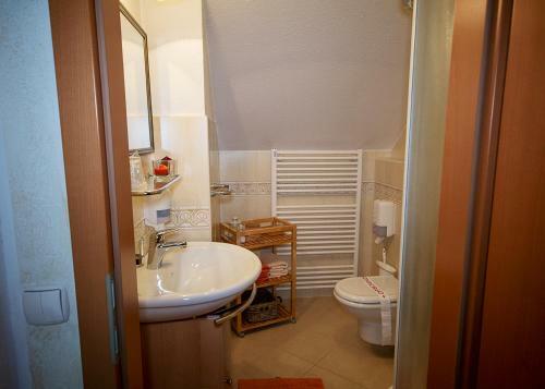 Hostal Guesthouse Tulipan
