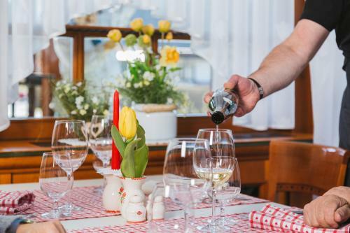 Hostal Guesthouse Tulipan