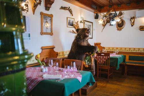 Hostal Guesthouse Tulipan