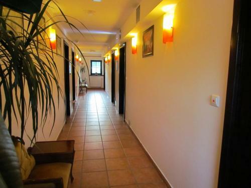 Hostal Pension Black Baron