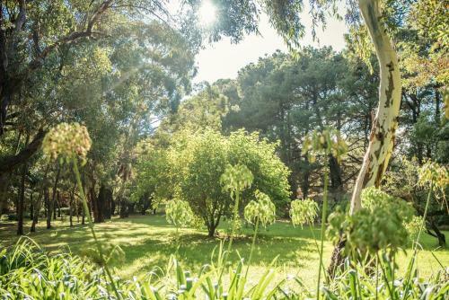 Bed & Breakfast Secluded Homestead Amongst The Trees