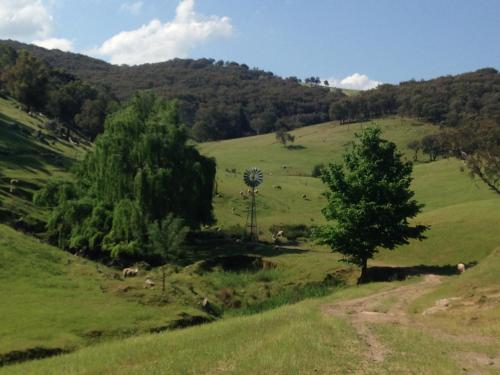 Tracton Homestead