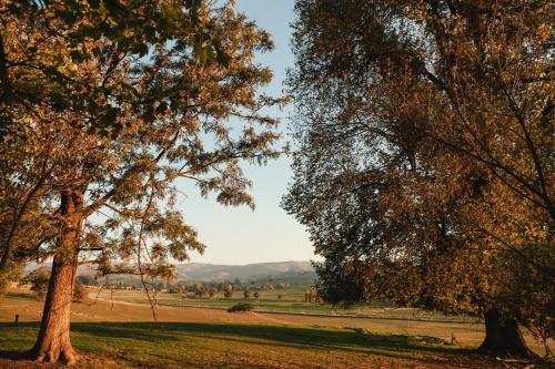 Tracton Homestead