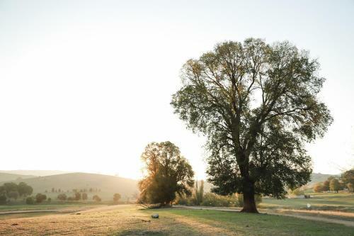 Tracton Homestead
