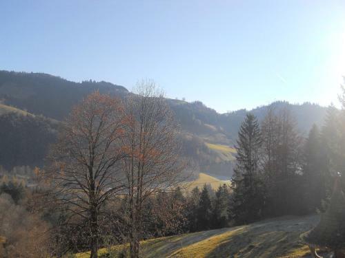 Chalet Niederndorferberg 1