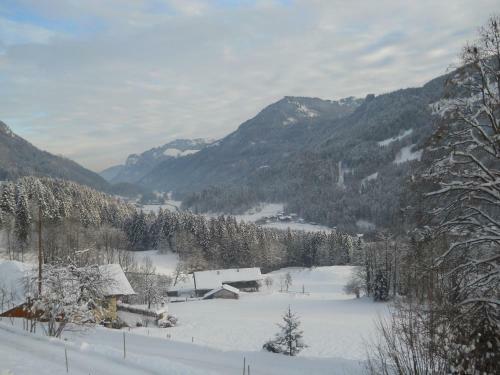 Chalet Niederndorferberg 1