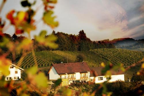 Weingut Brenner Am Rossberg