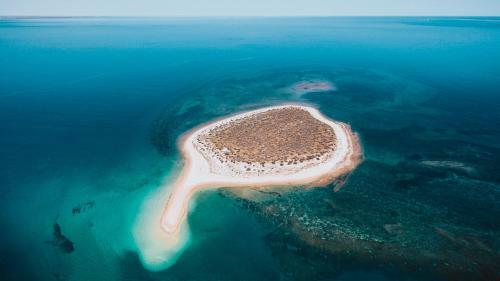 Hotel Mackerel Islands