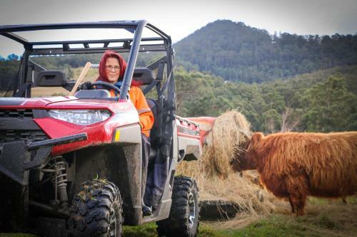 Bed & Breakfast Highland Getaway