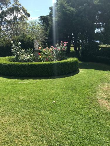 Bed & Breakfast The Willows B N B