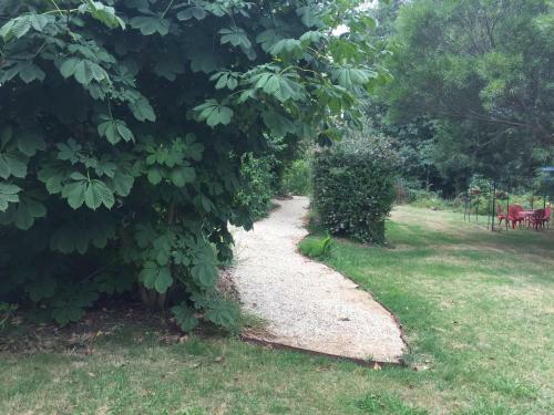 Hostal Oaktree Guest House