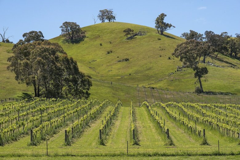 Agroturismo Blue House At Mountainside Wines