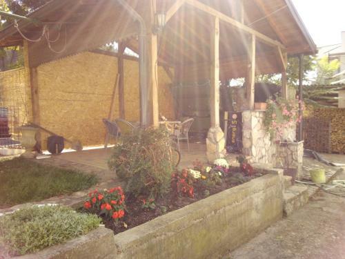 Apartments Jasmin