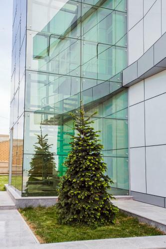 Azpetrol Hotel Qusar