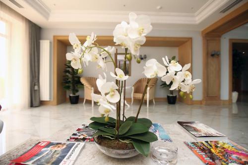 Shirvan Hotel & Spa