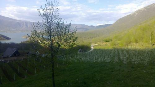 Apartamento Guest House - Stari Javor B&B