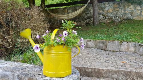 Apartamento Guest House - Stari Javor B&B