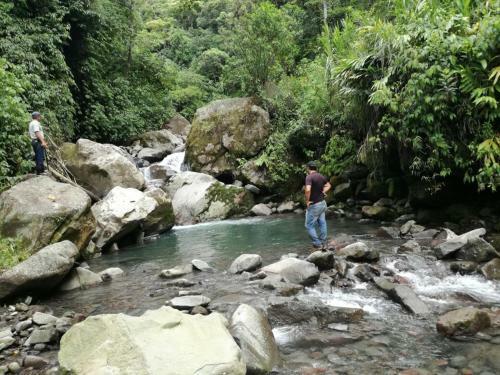 Hotel Guayabo Lodge