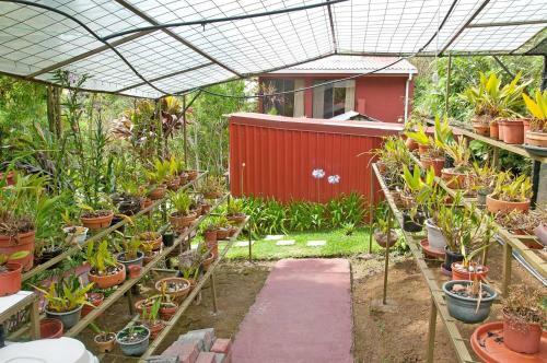 Bed & Breakfast La Boruca