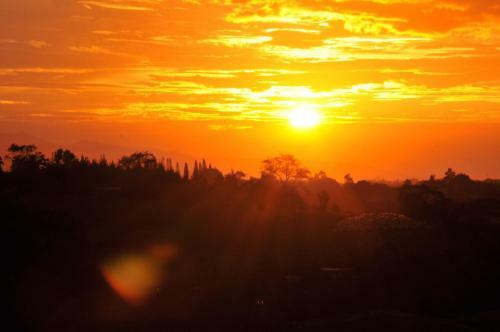 Bed & Breakfast La Boruca