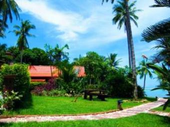 Hotel Cyana Beach Resort