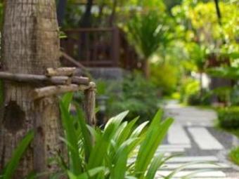 Hotel Mangrove Villa