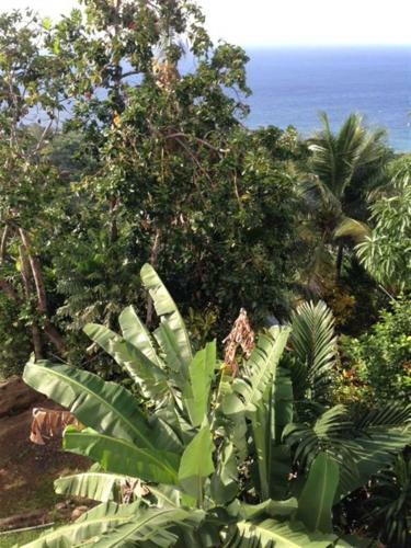 Apartamento My-places Montego Bay Vacation Home