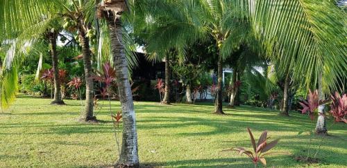 Villa Guarias