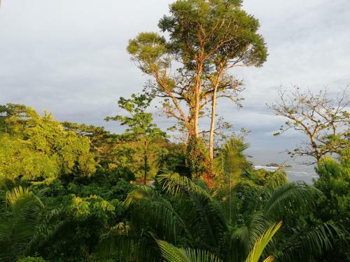Hostal Garden Of Heliconias Lodge