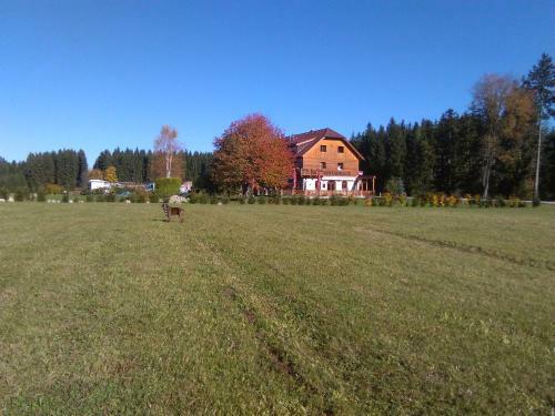 Hostal Penzion Planicka