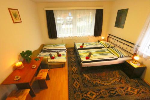 Ski Apartment