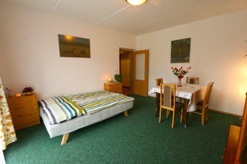Ski Apartment