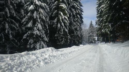 Hostal Penzion Jezirko